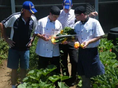 A group of men are standing in a garden looking at vegetables
