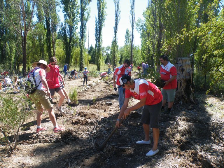 A group of people are working in the dirt in a wooded area