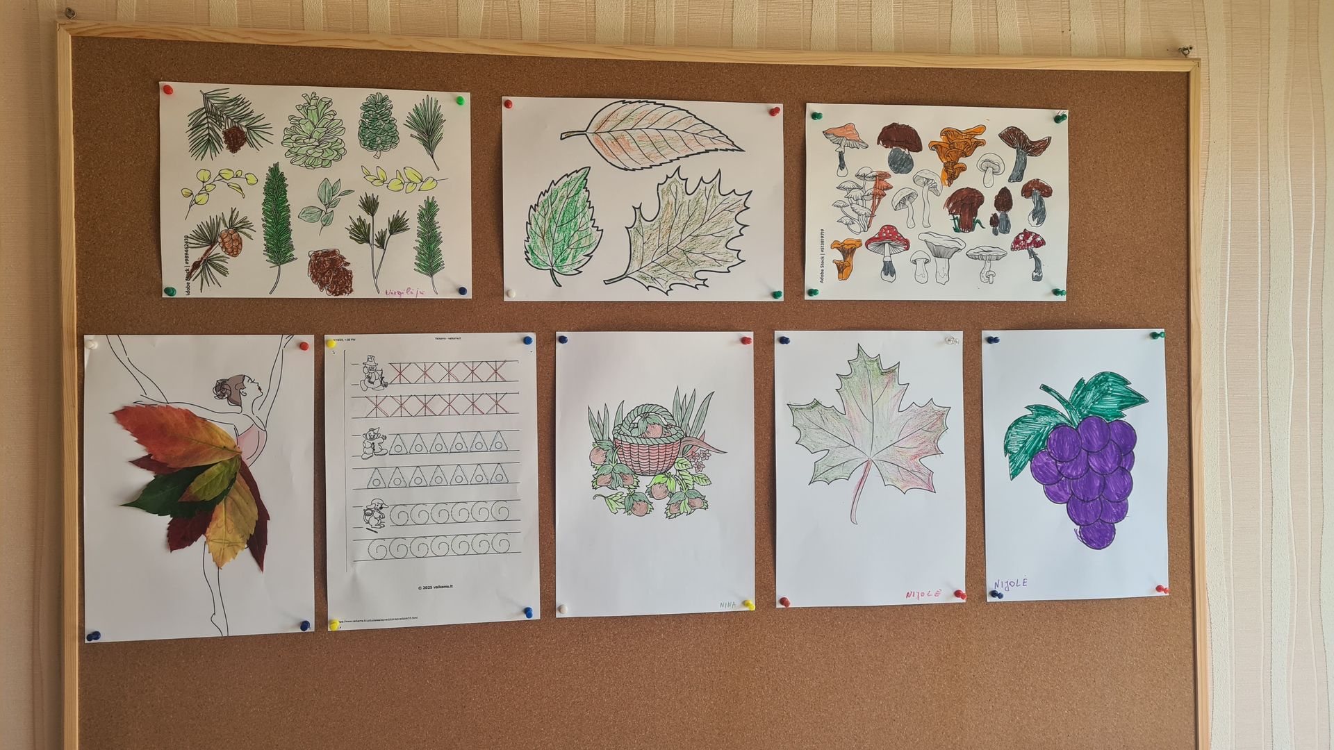 Slaugos namų Eimanta gyventojų turiningas laisvalaikis ir užimtumo organizavimas