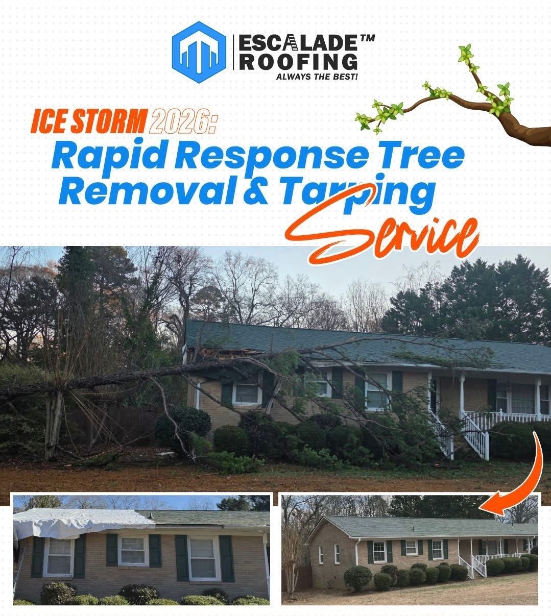 A tree fell on top of existing roof damaging roof, wood, and gutters. 