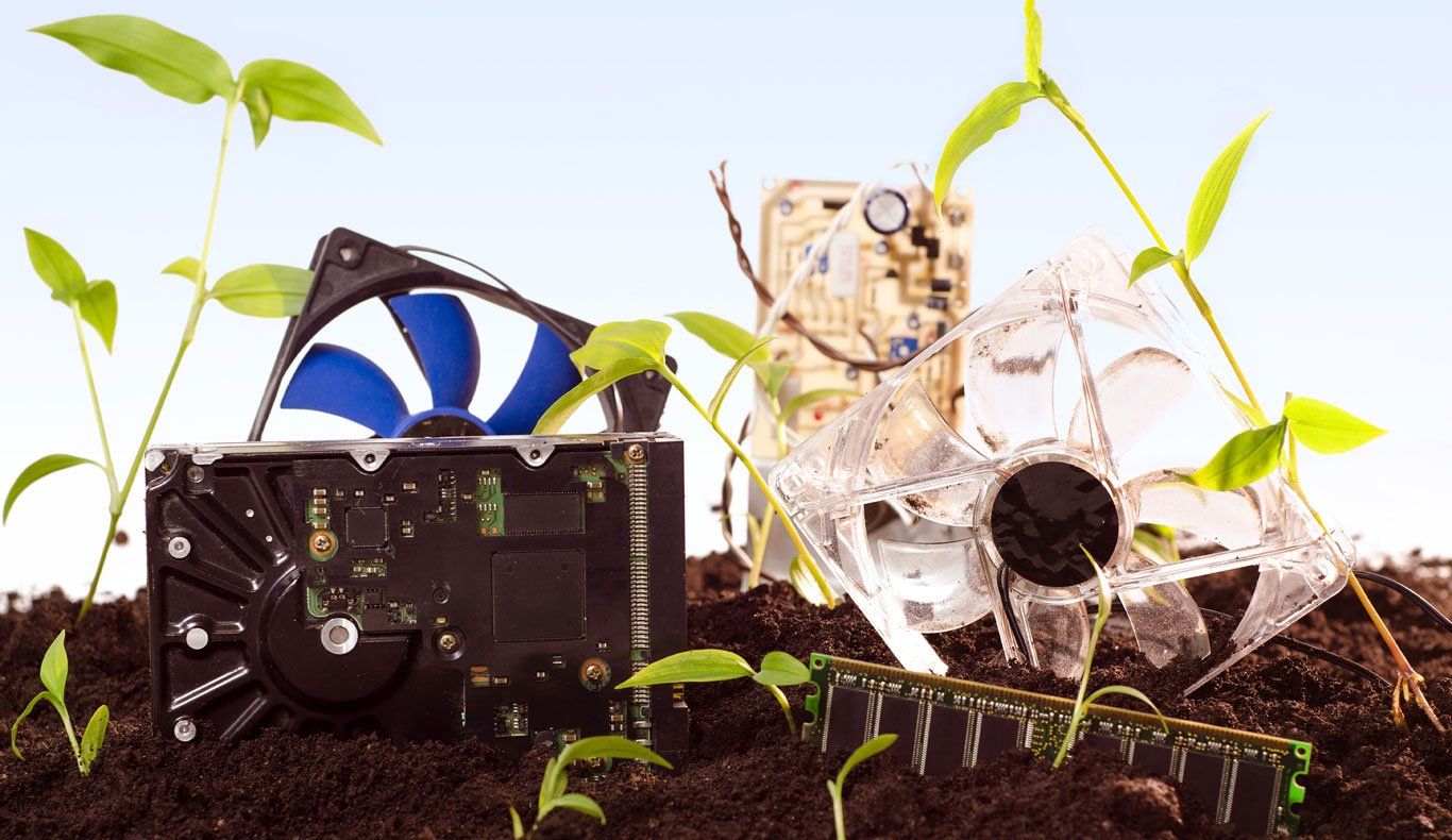 a fan is sitting on top of a pile of dirt surrounded by plants .