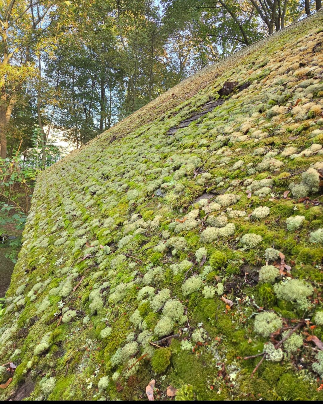 Roof Snow Removal in Dracut, Massachusetts Dracut, Massachusetts Roof Snow Removal - The Roofing Company