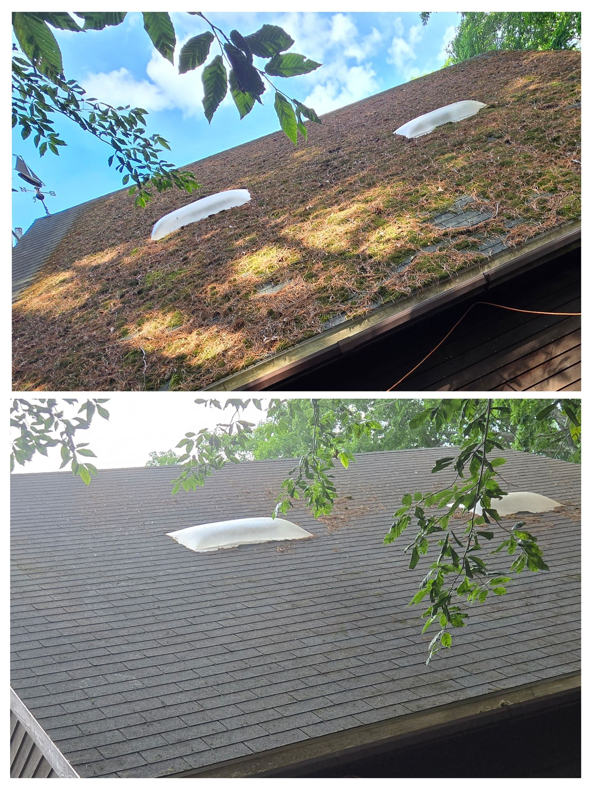 Roof Moss Removal in Dracut, Massachusetts Roof Moss Removal in Dracut, Massachusetts