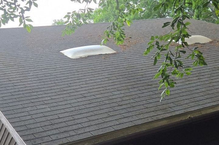 A roof with a skylight and a tree in the background