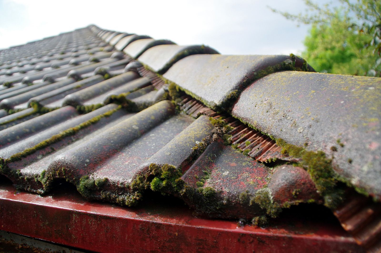 A white pipe is sitting on top of a brick roof