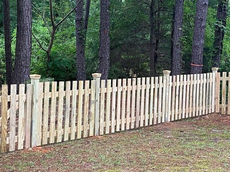 A light-colored wooden picket fence stands in front of a line of tall pine trees in a grassy yard.