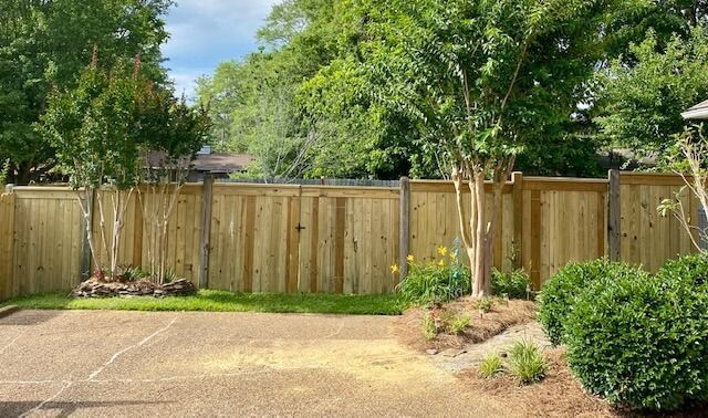 A new wooden fence encloses a backyard with trees, a small patch of grass, and landscaped shrubs near a paved area.