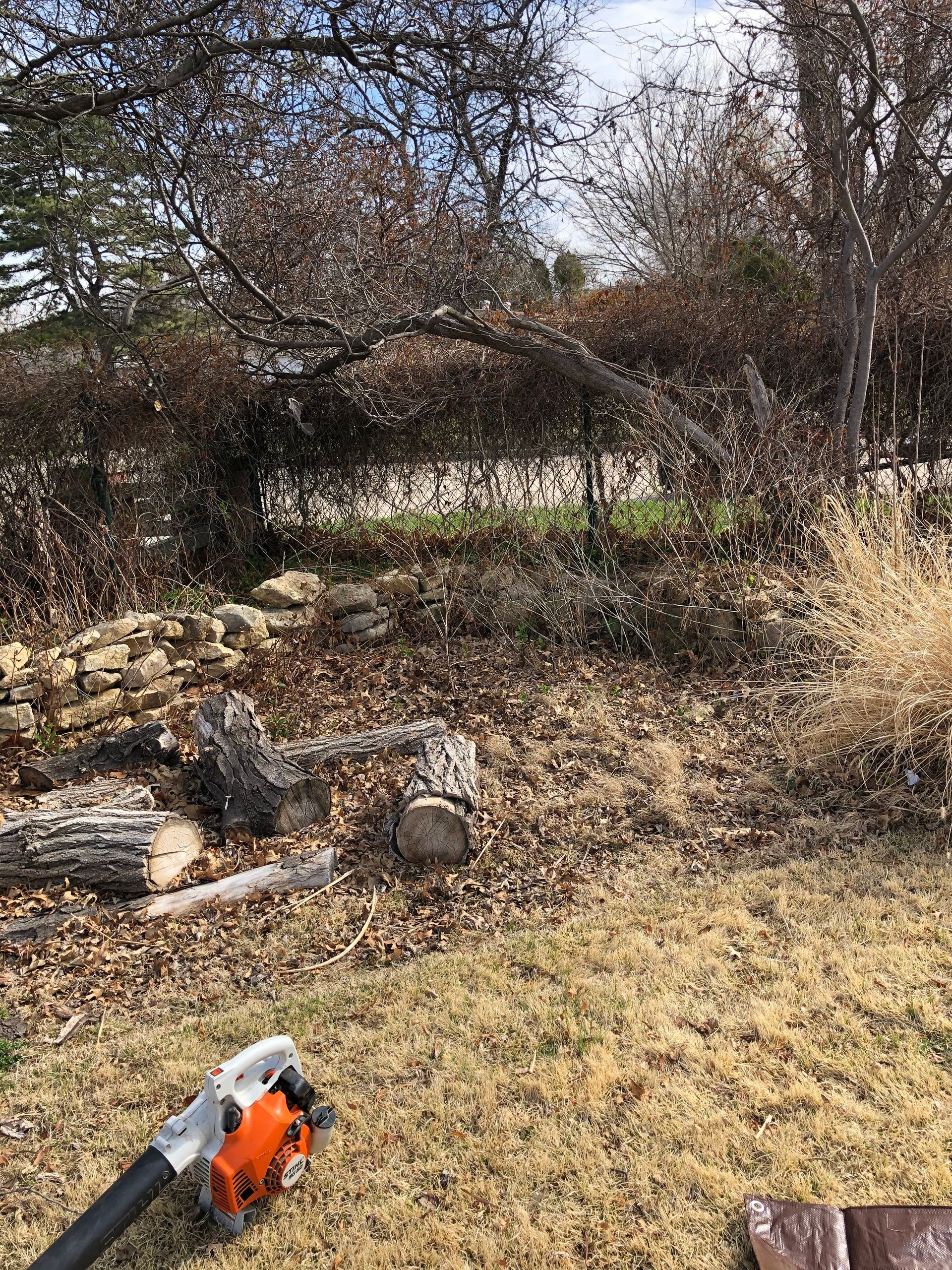 a stihl air blower is sitting in the grass in a yard .