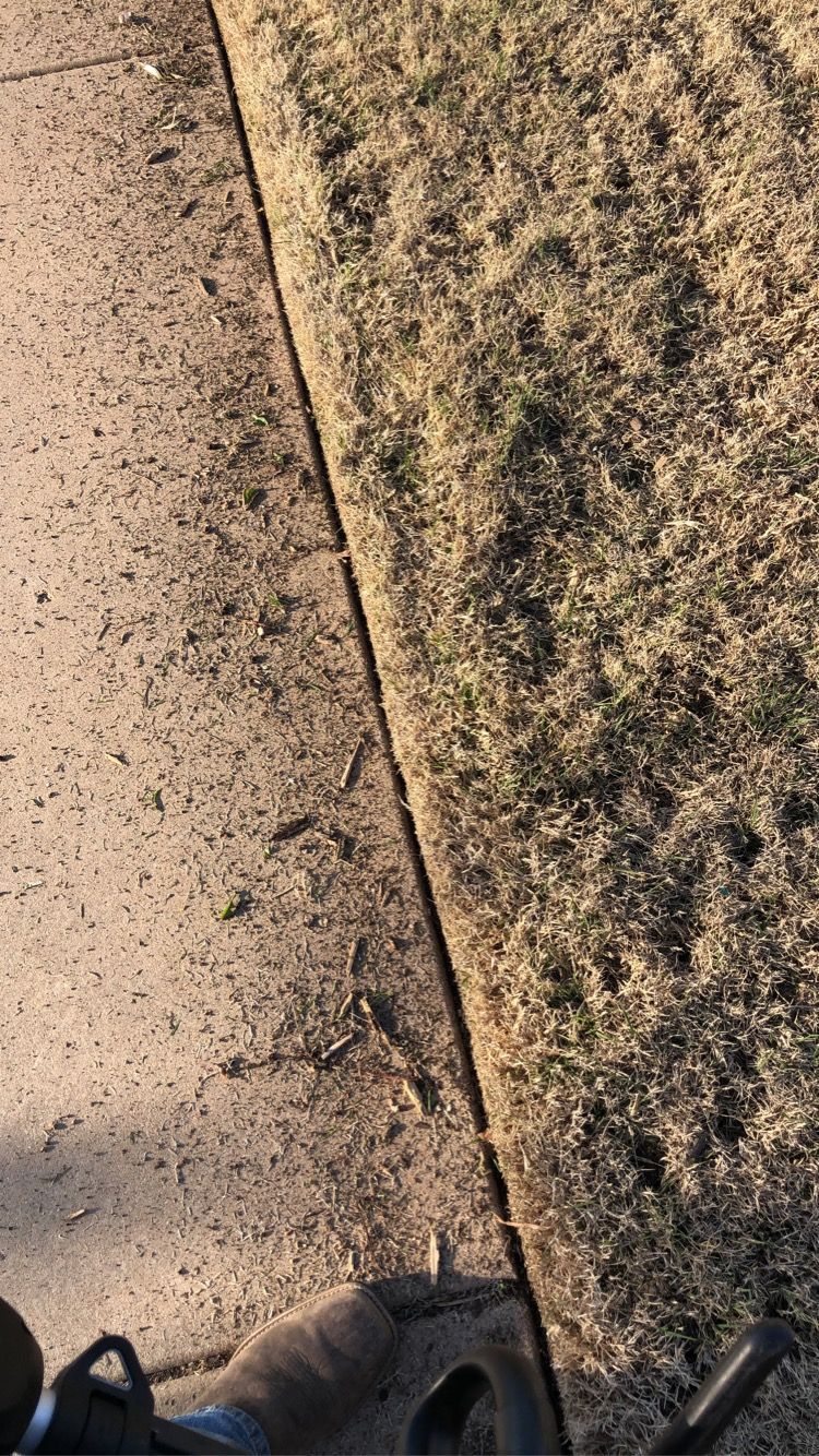 a person is standing on a sidewalk next to a grassy area .