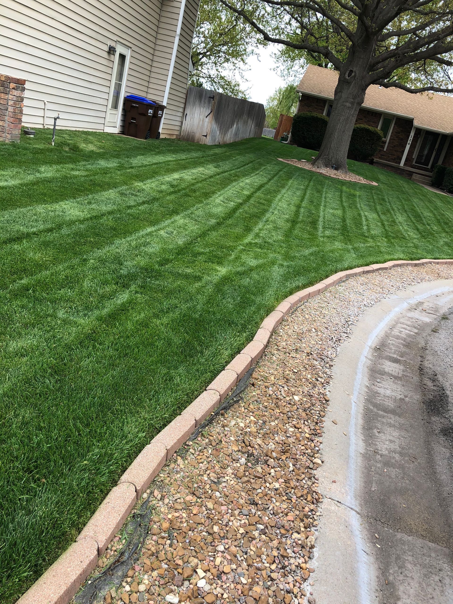 a lush green lawn next to a sidewalk and a house .