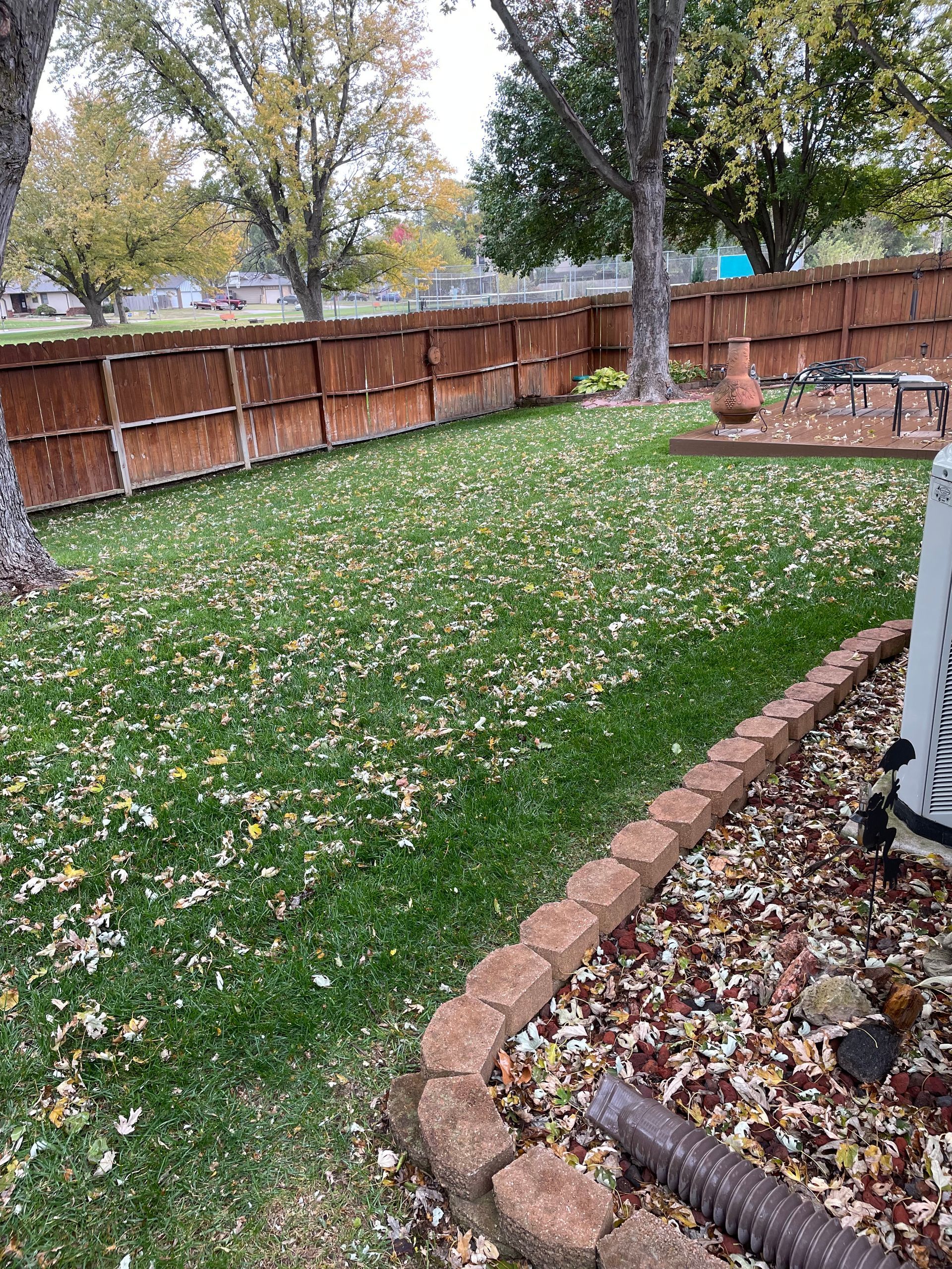 a backyard with a wooden fence and a lawn covered in leaves .