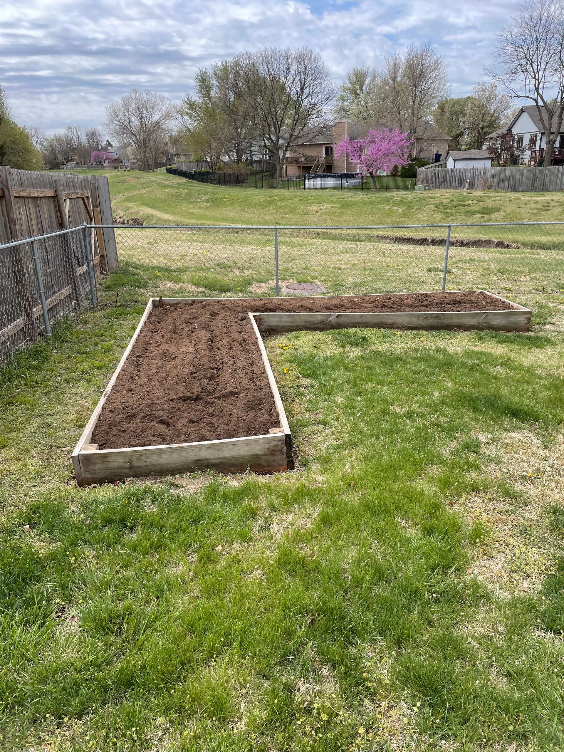 there are two raised beds in the grass in the backyard .