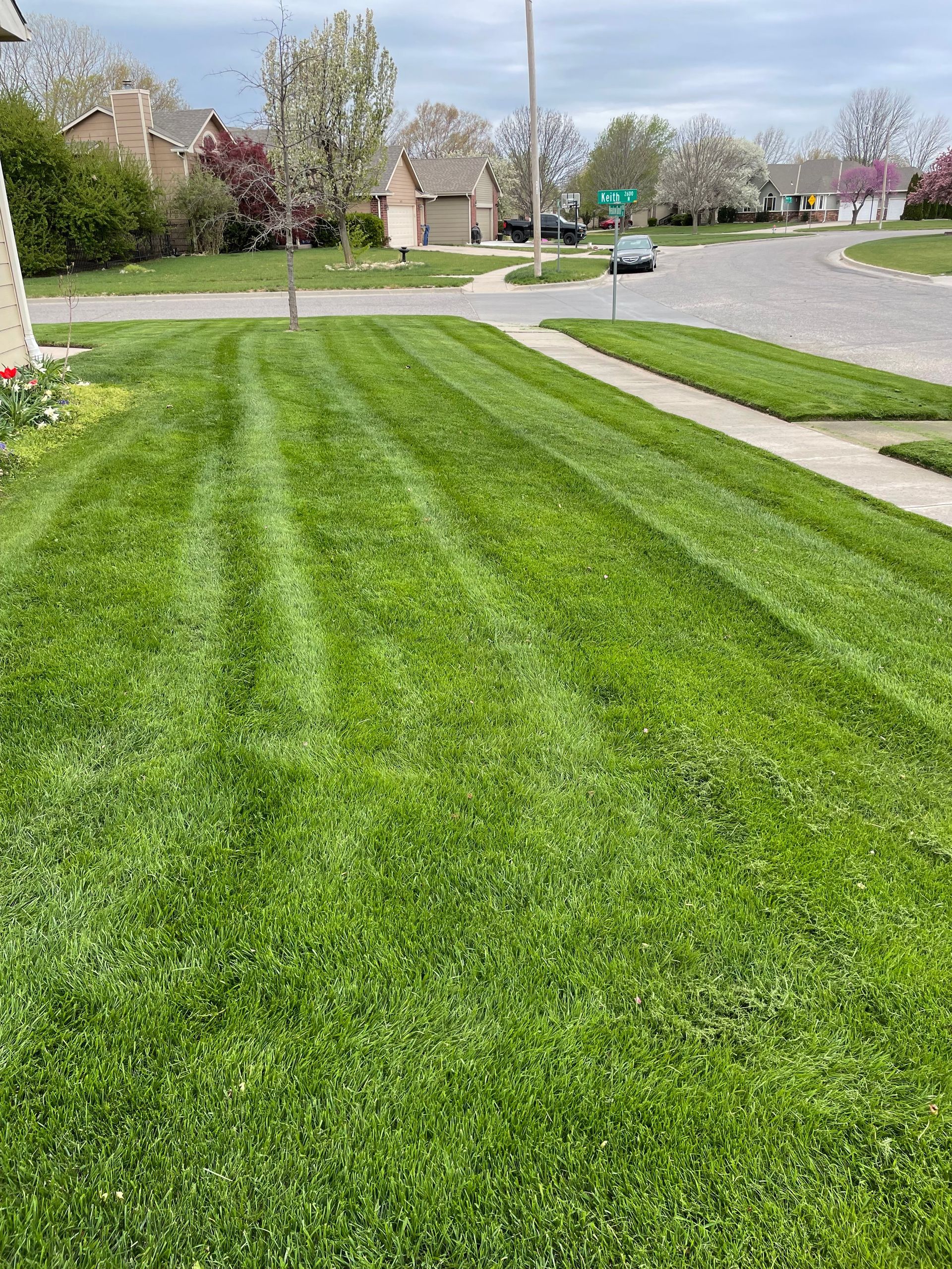 a lush green lawn is being mowed in a residential neighborhood .