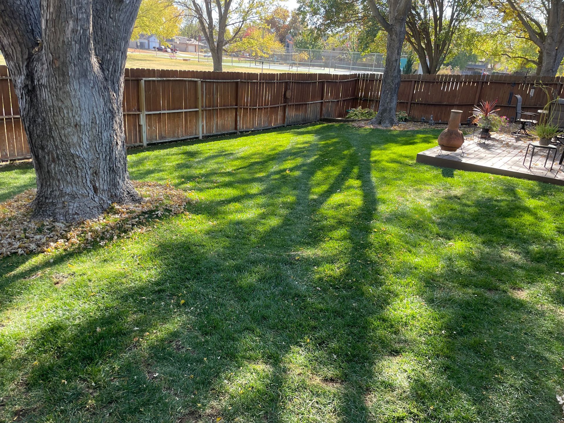 a backyard with a wooden fence and a lush green lawn .