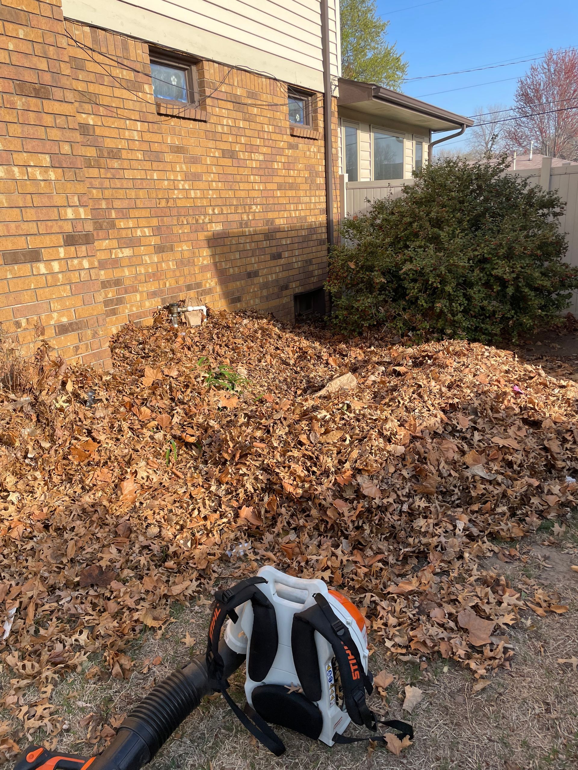 a leaf blower is sitting on top of a pile of leaves in front of a house .
