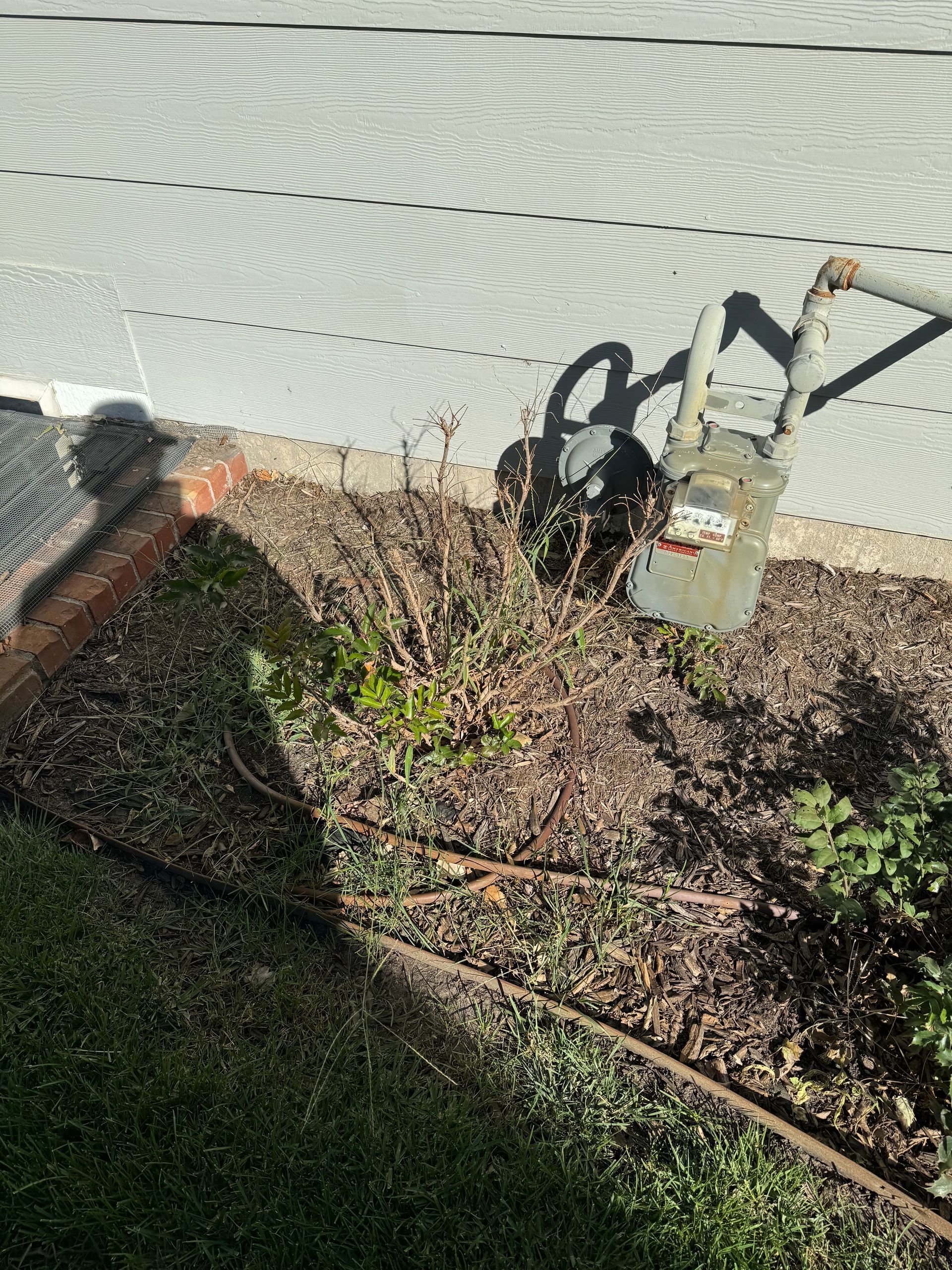 a gas meter is sitting in the grass next to a house .