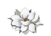Magnolia Medical Wellness Logo