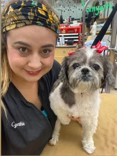 A woman is taking a selfie with a small dog.