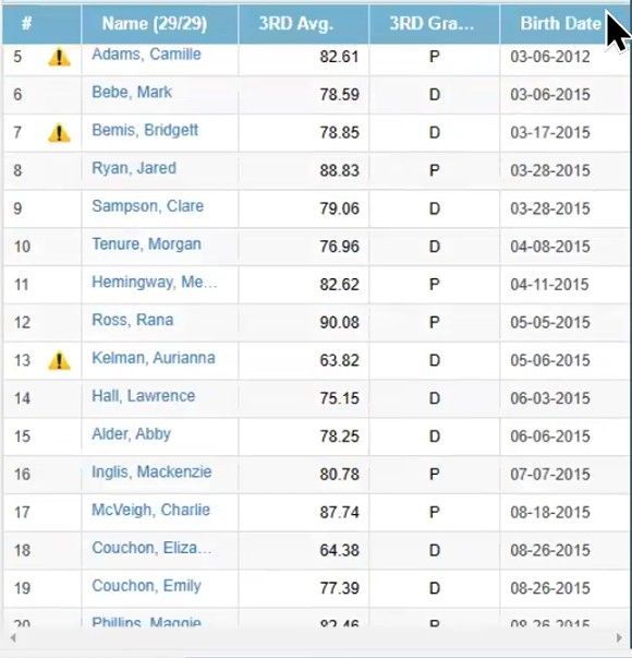 TeacherPlus Gradebook Enable Annotation Mode