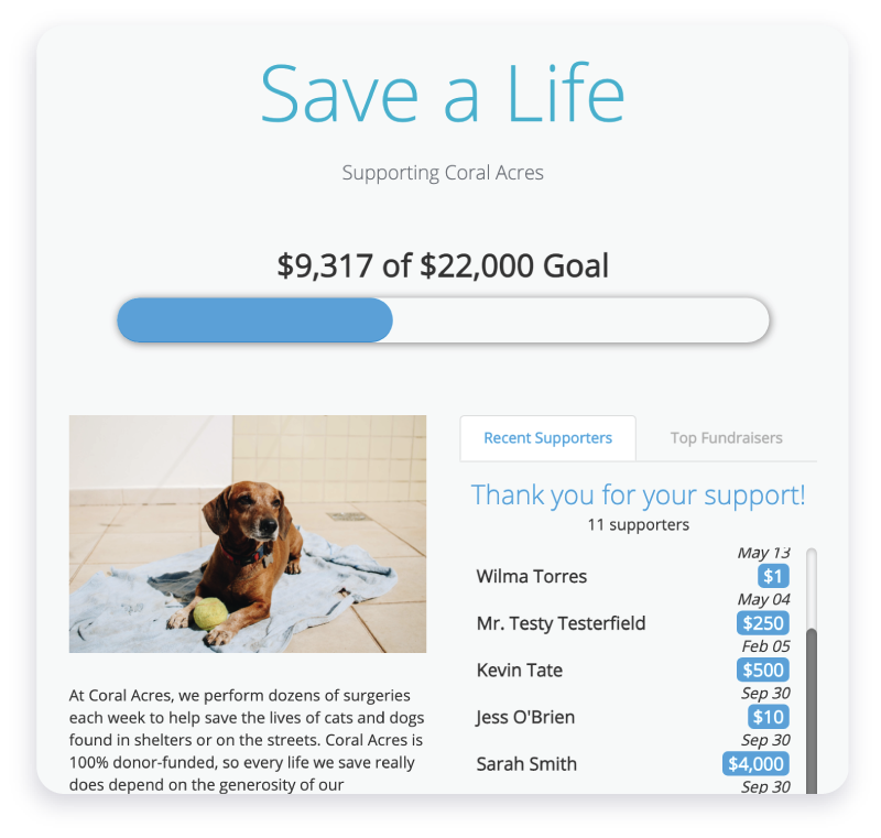 Create Fundraising Goals in DonorPerfect