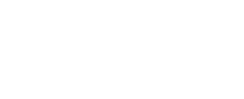 NAOR Logo