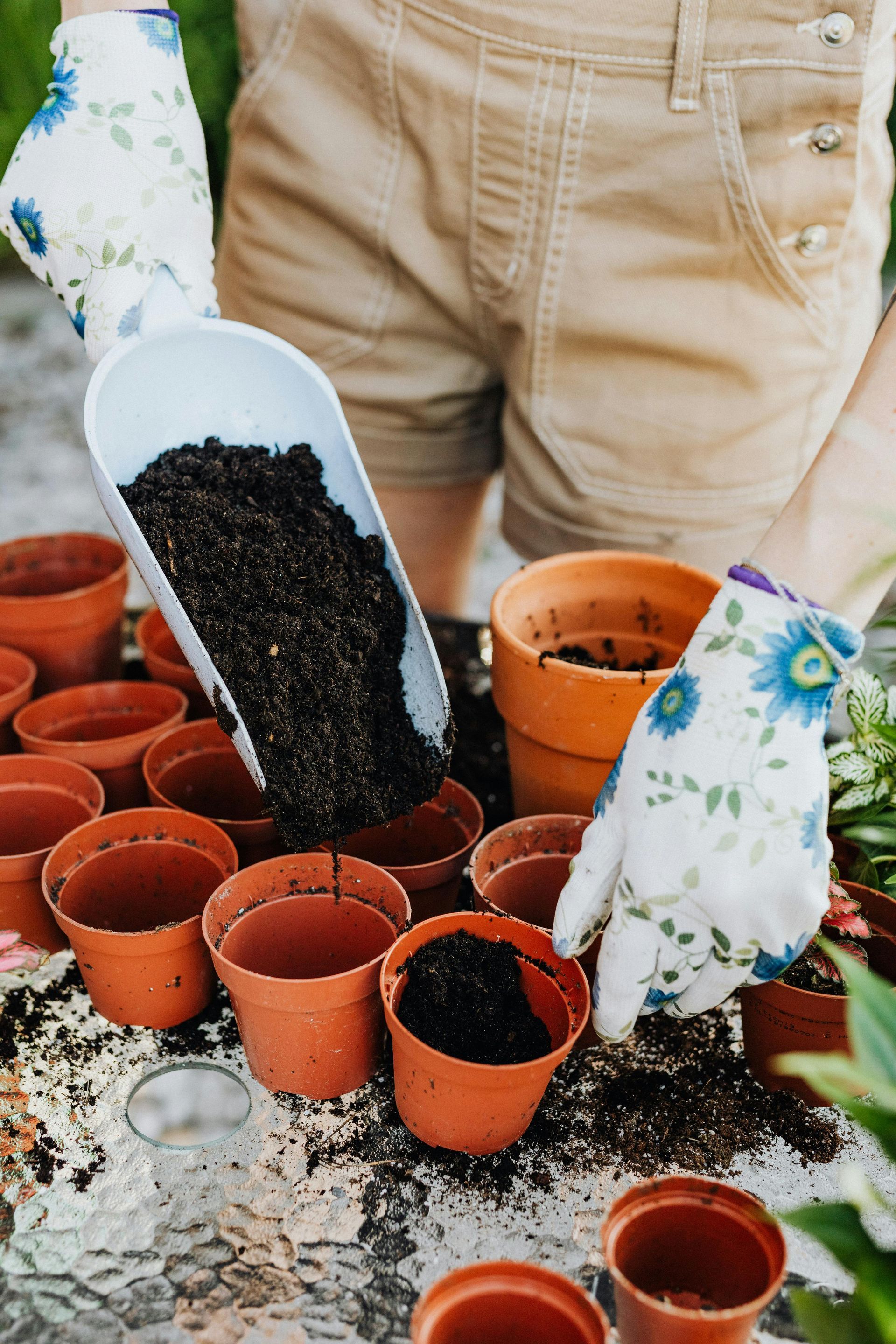 Une personne verse de la terre dans des pots sur une table.