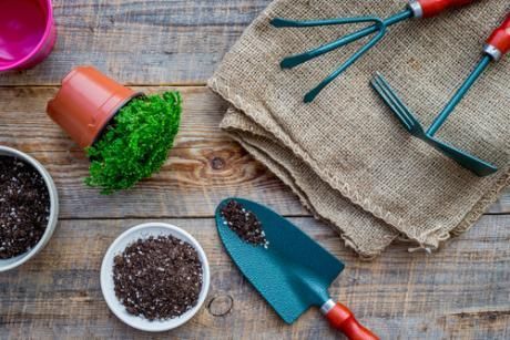 Une table en bois surmontée de plantes en pot, d'outils de jardinage et de terre.