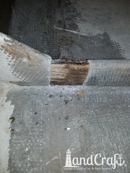 Seadog commercial passenger vessel with structural damage