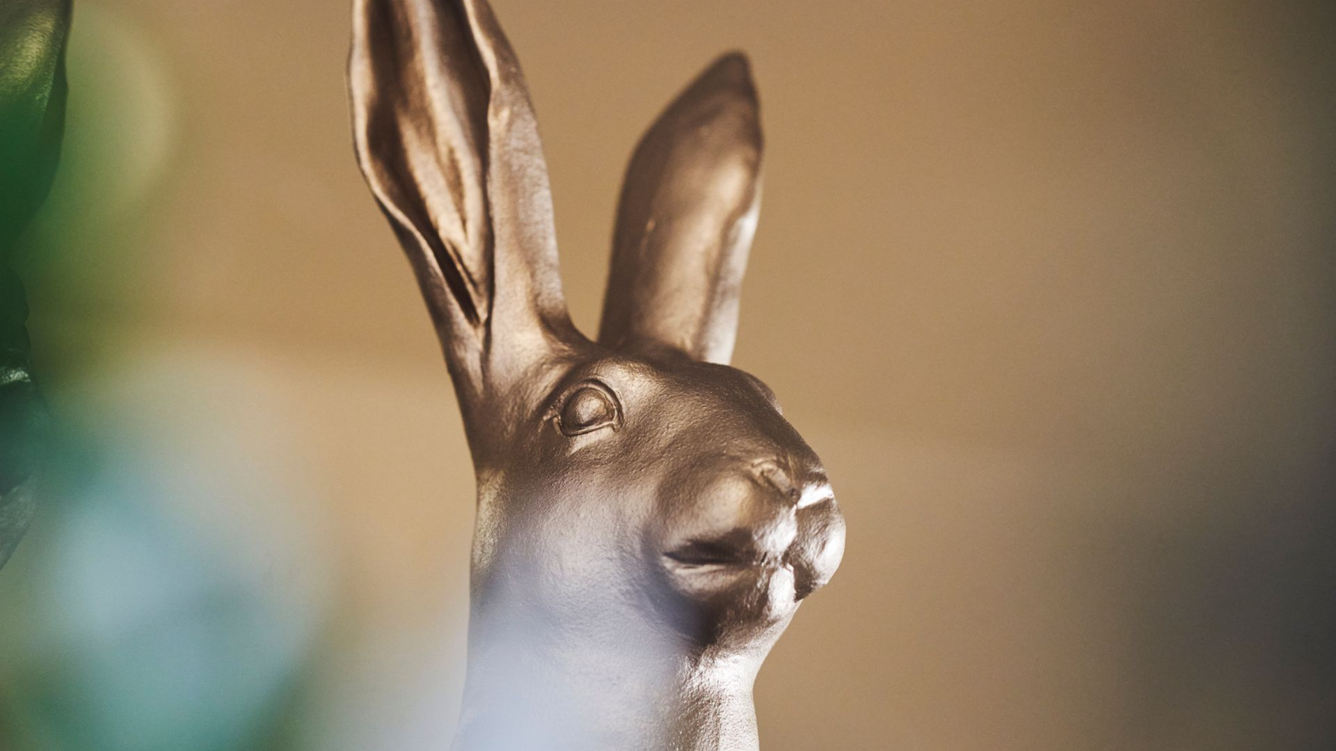 Hase
