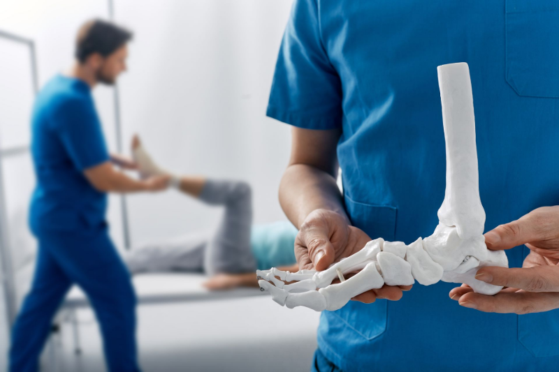 Person holding a model foot, with another person examining a patient's leg. In a medical setting.