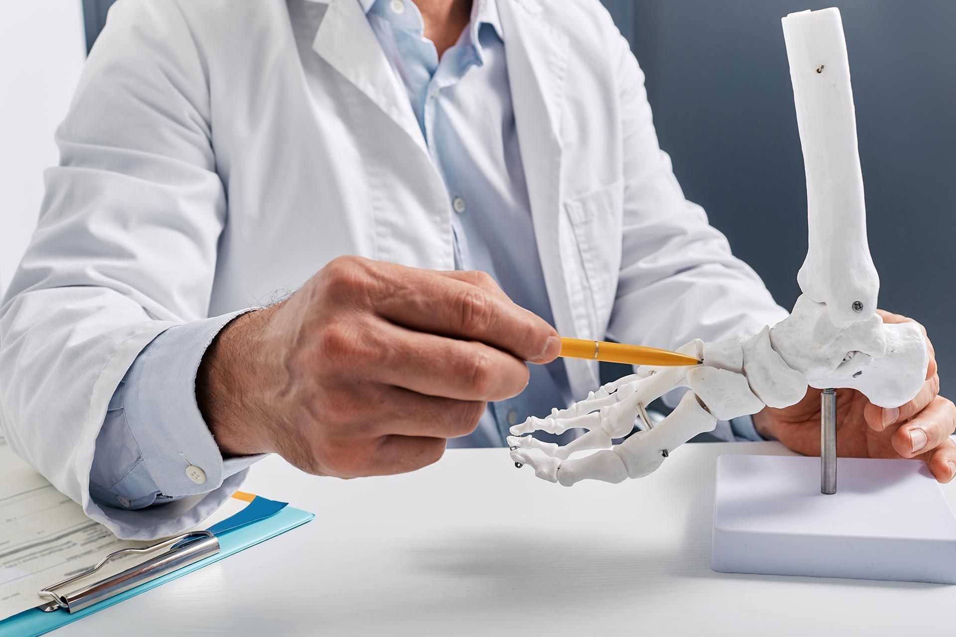 Medical professional examining a foot and ankle skeleton model on a desk. Medical professional examining a foot and ankle skeleton model on a desk.