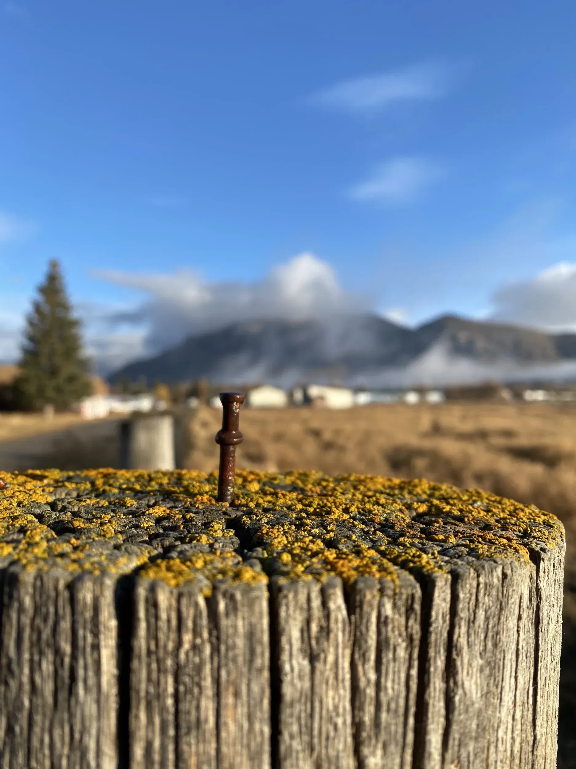 Close-up of a weathered wooden post with a rusty nail, set against a blurred landscape of mountains and a blue sky.