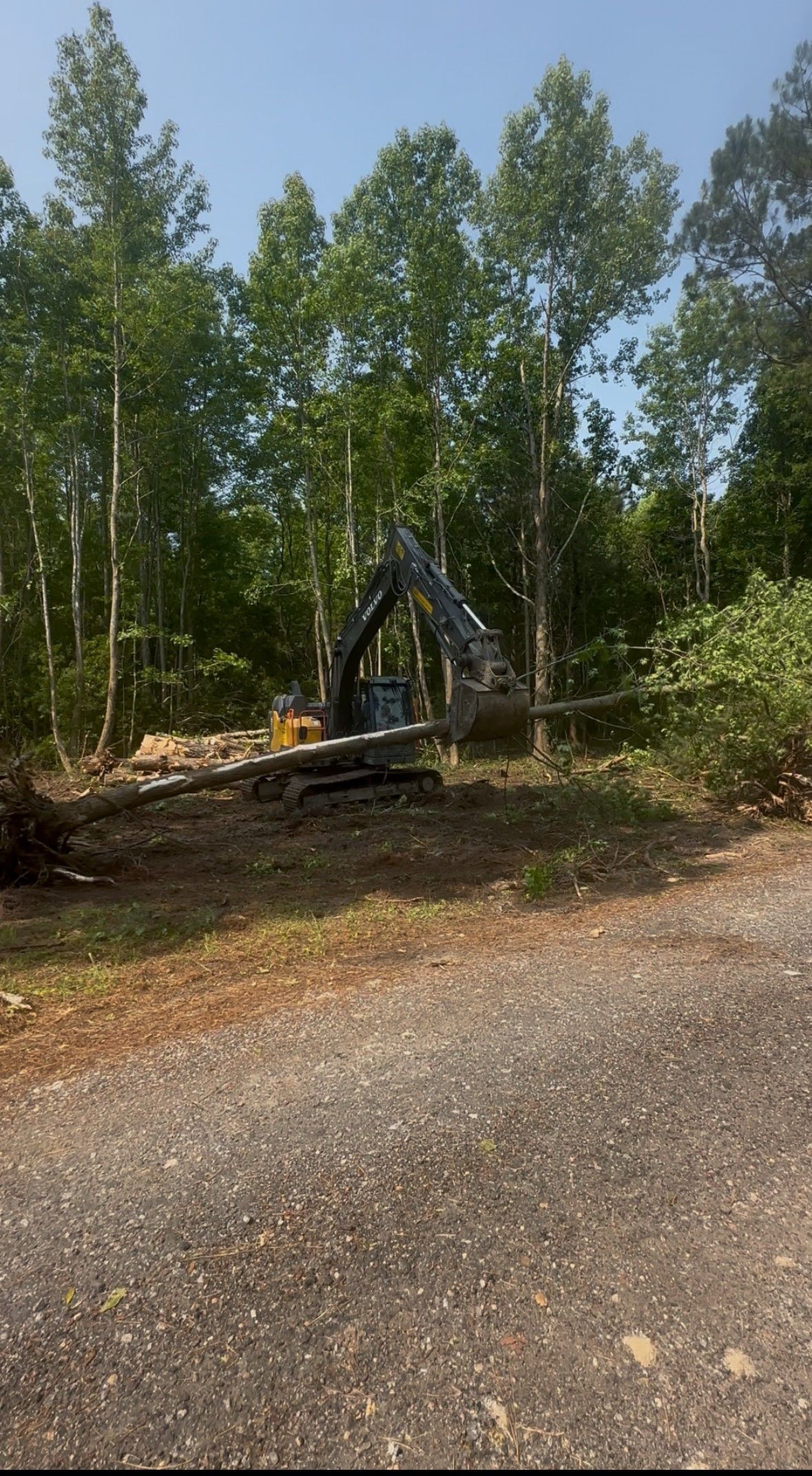 Gravel path leads to a stone structure in a clearing surrounded by tall trees under a blue sky.