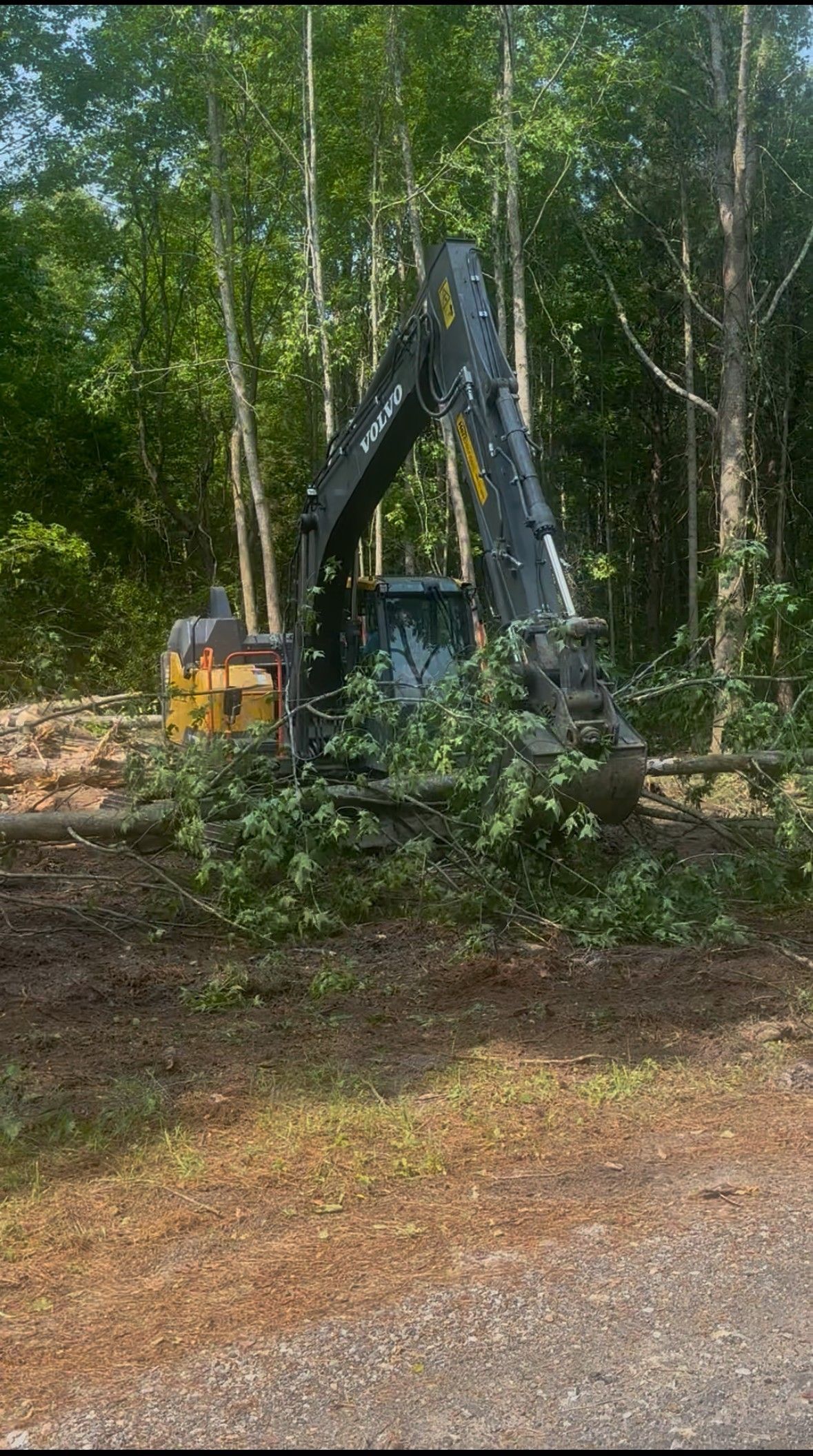Heavy equipment clearing trees in a wooded area.