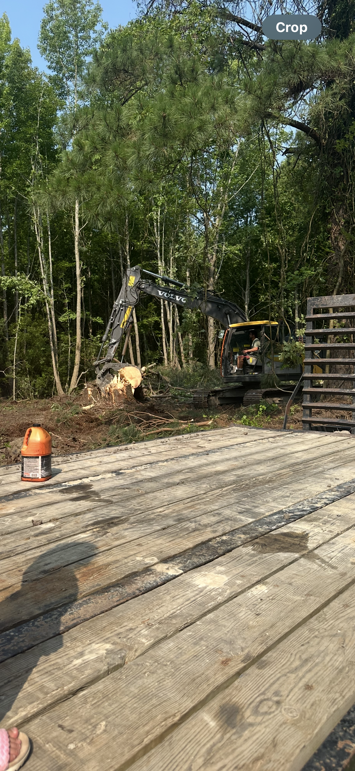 Excavator clearing trees in a wooded area with a safety cone on a wooden surface.