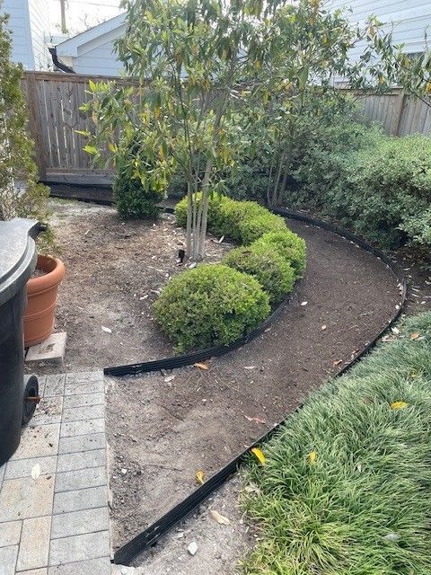 Curved garden path lined with bushes, freshly tilled soil, black edging. Brown brick path meets the garden.