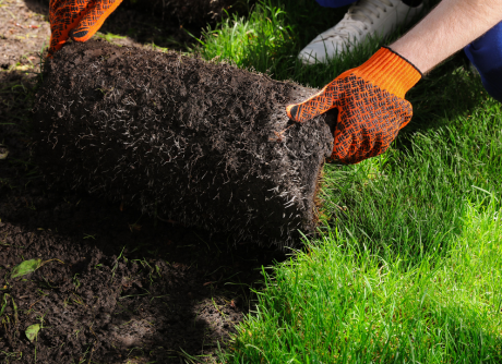 landscaper installing sod in orange county ca