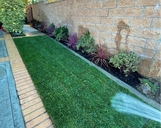 landscaping service in orange county ca