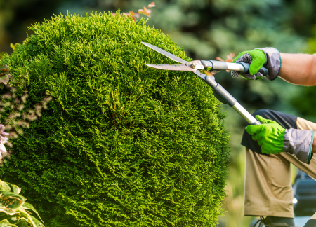 lawn care service in orange county ca