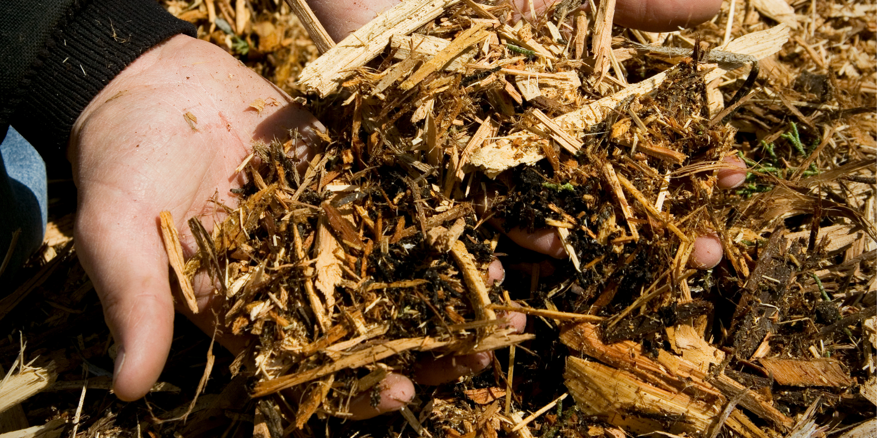 Bulk Mulch