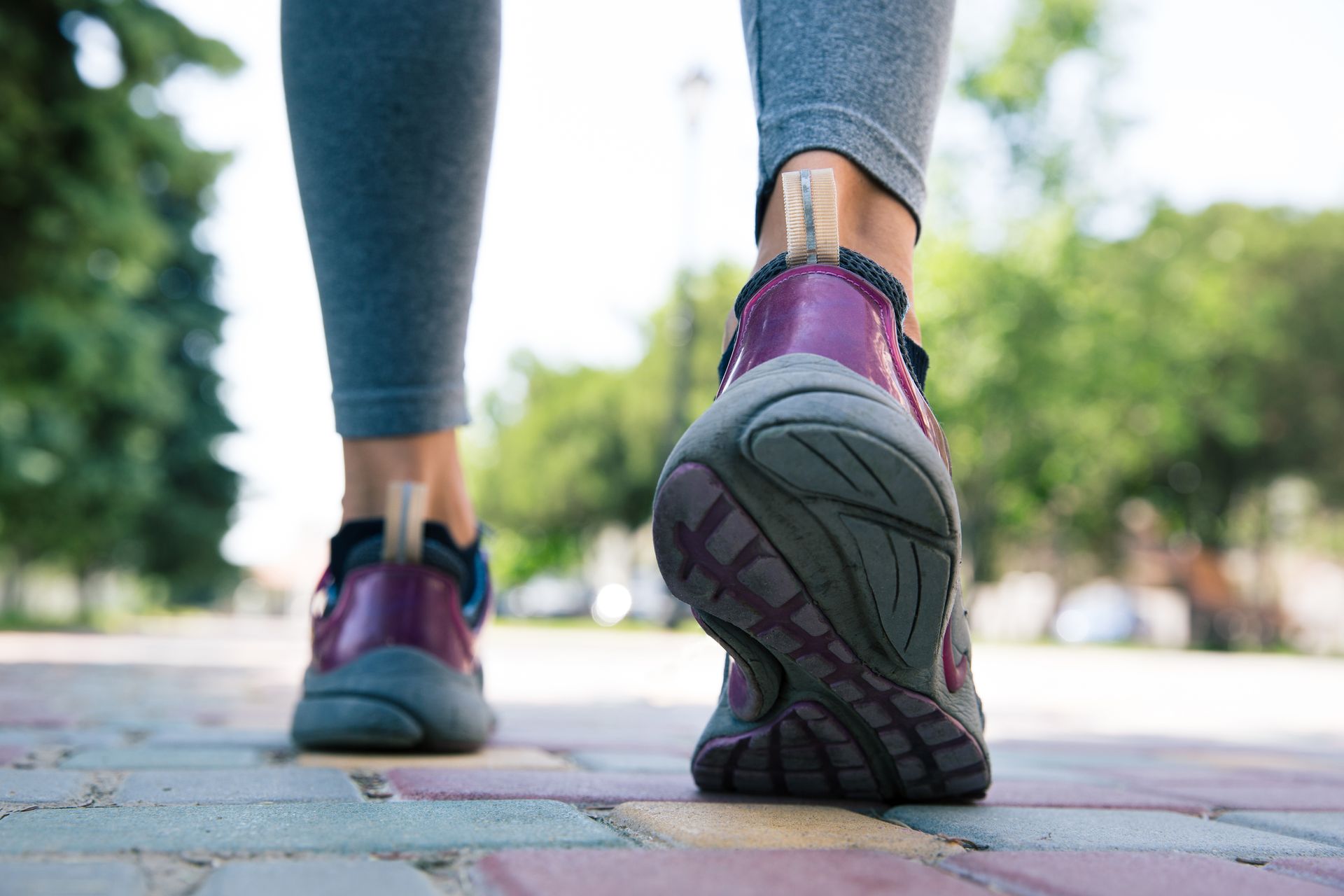 Community wellness walk on a tree-lined path