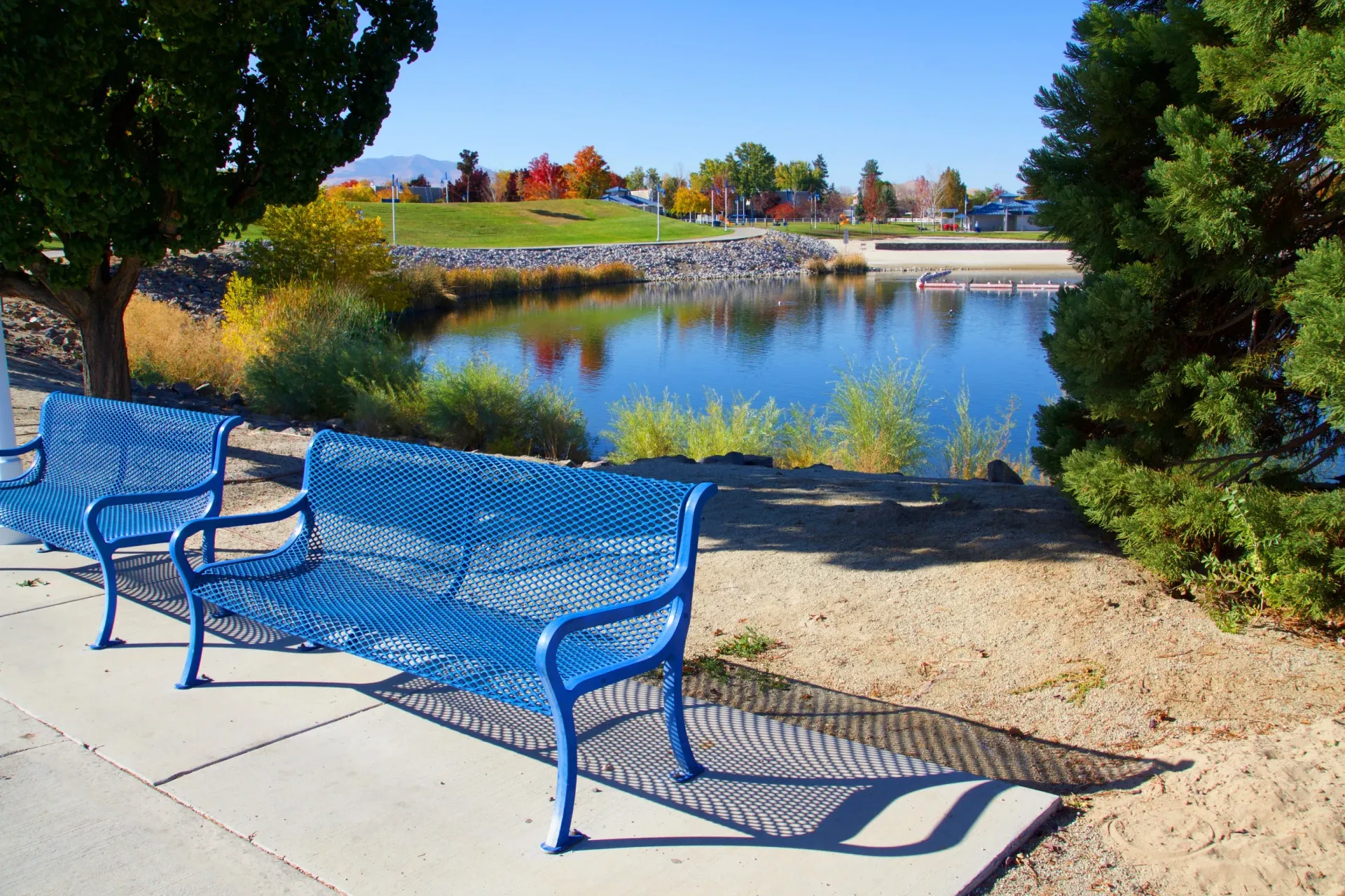 Blue metal benches along a lakeside park with trees and calm water.