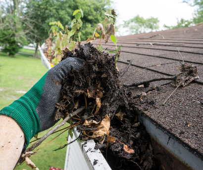 Gloved hand removing debris from a dirty rain gutter on a house roof.