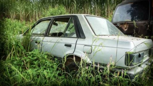 Picture of old car missing windows in grassy area that looks like it has not been moved in a long time