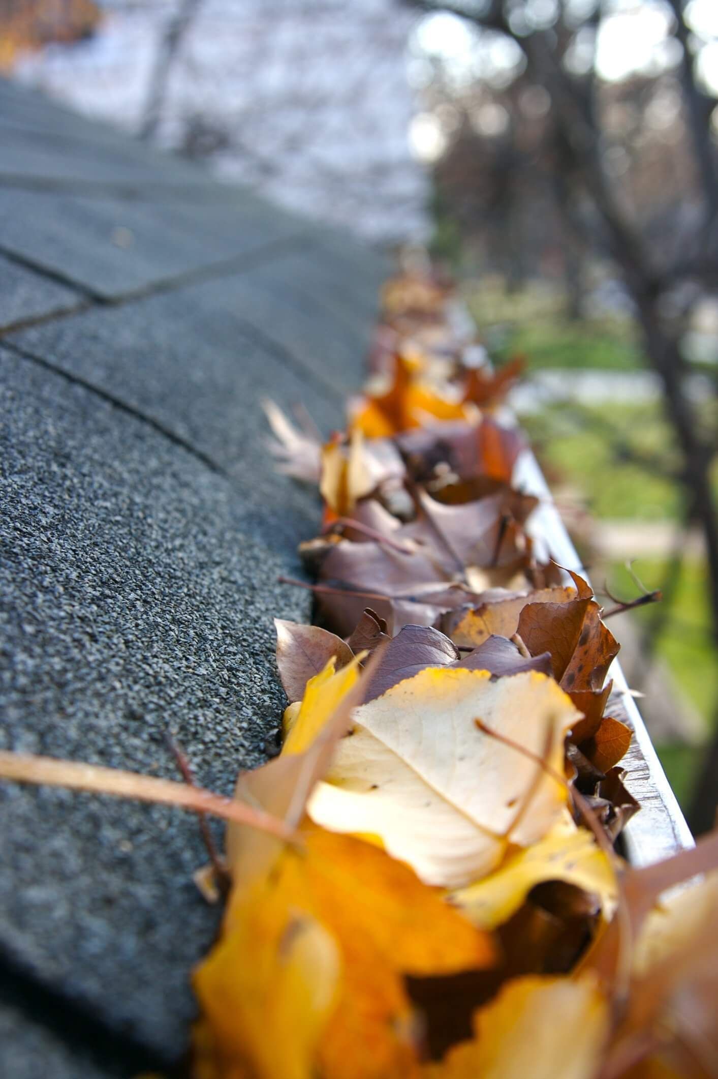 Gutter Cleaning | Nashville, TN | Alpine Window Cleaning & Pressure Washing