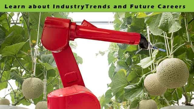 robot picking fruit