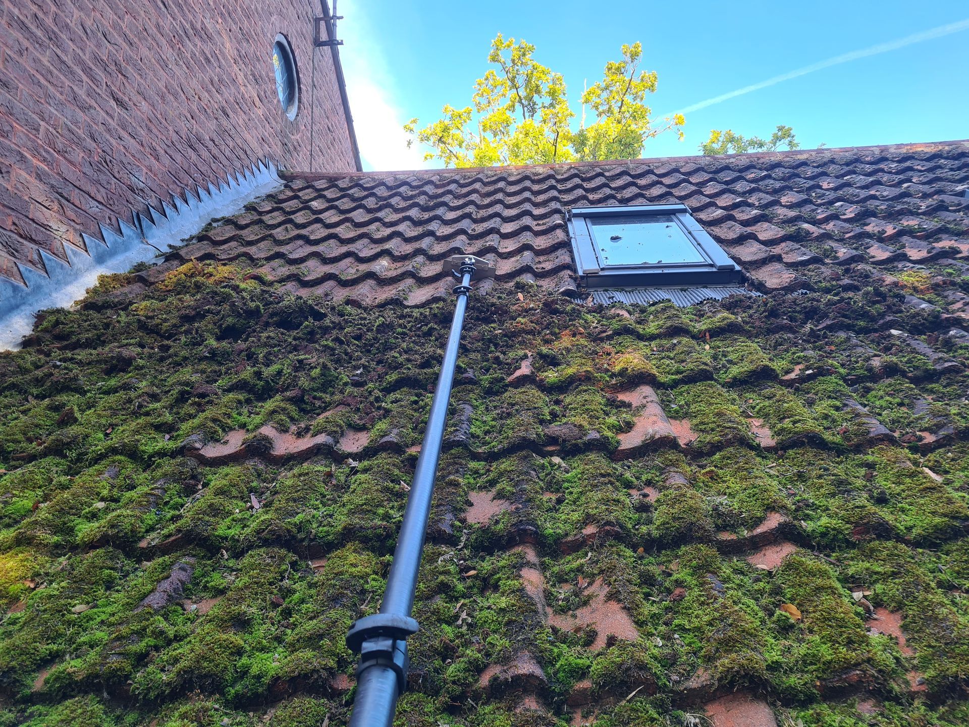 How to Remove Moss From a Roof