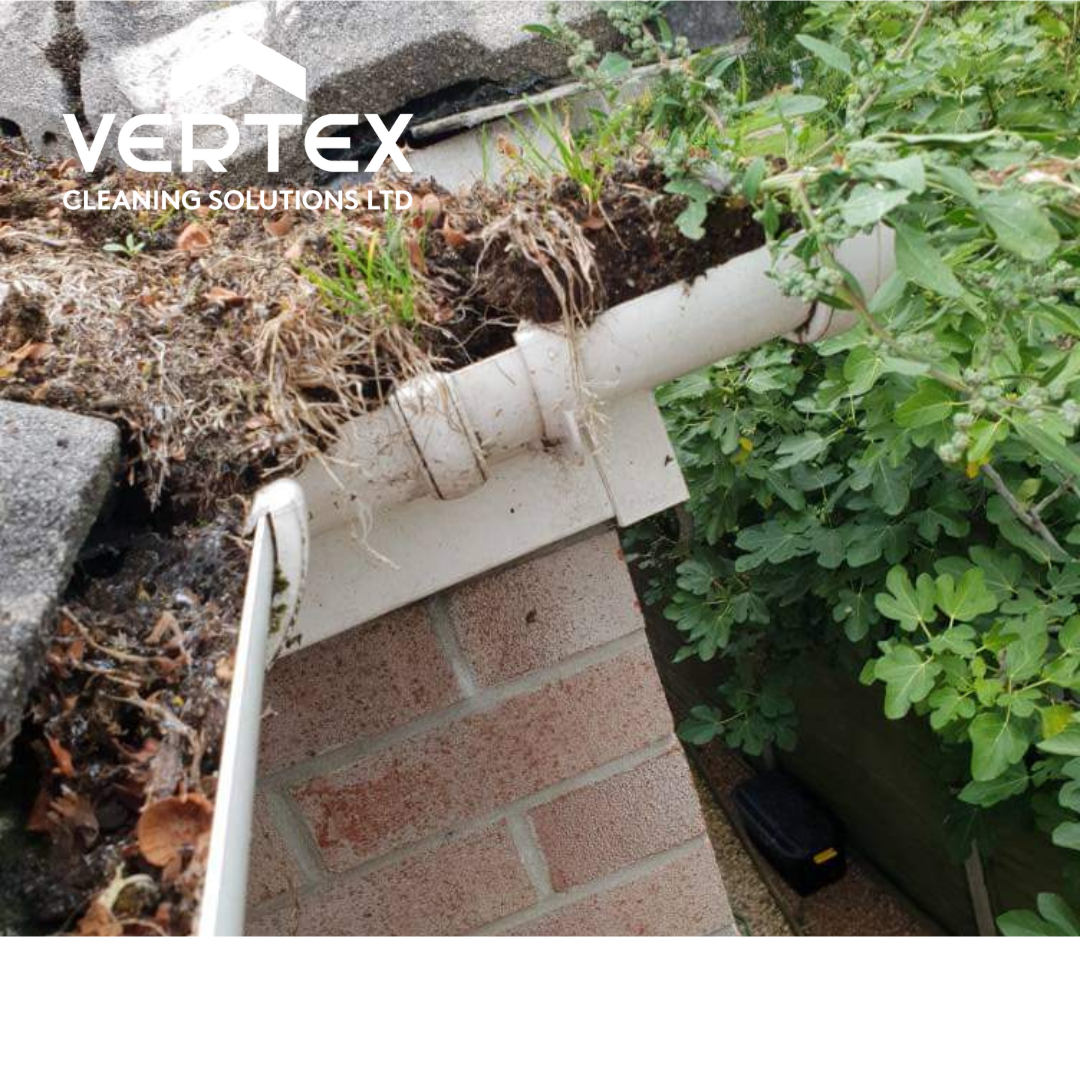 Blocked gutter due to organic material growth