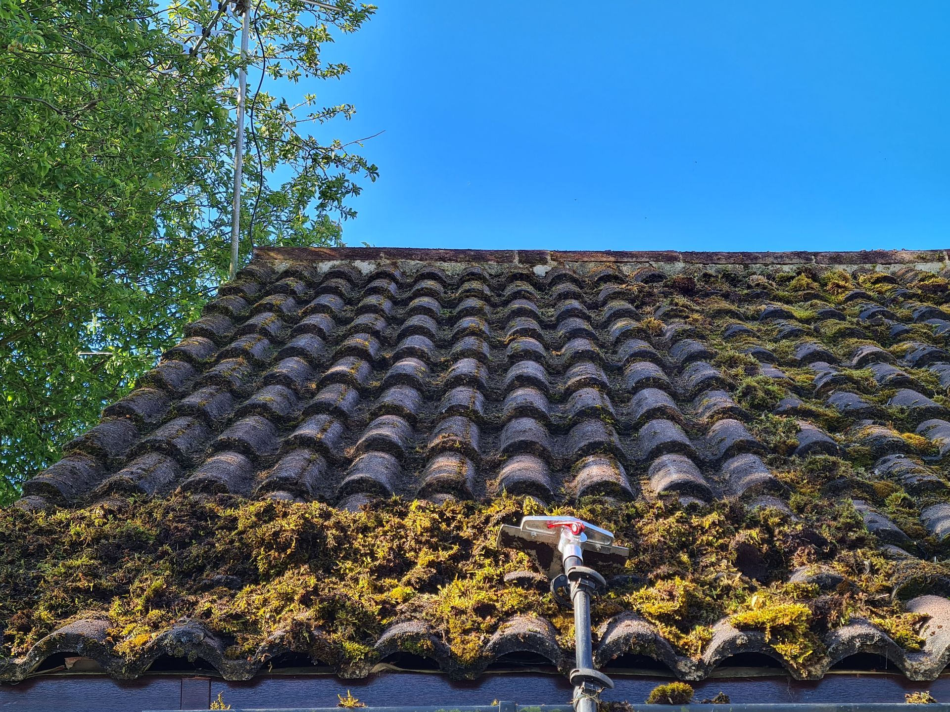 Roof Cleaning Cost Guide: Navigating the Expenses in 2024