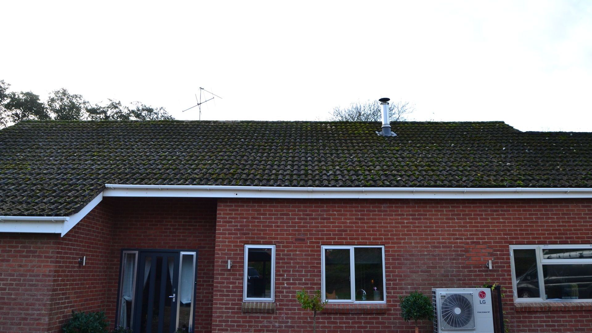 roof covered in moss before cleaning